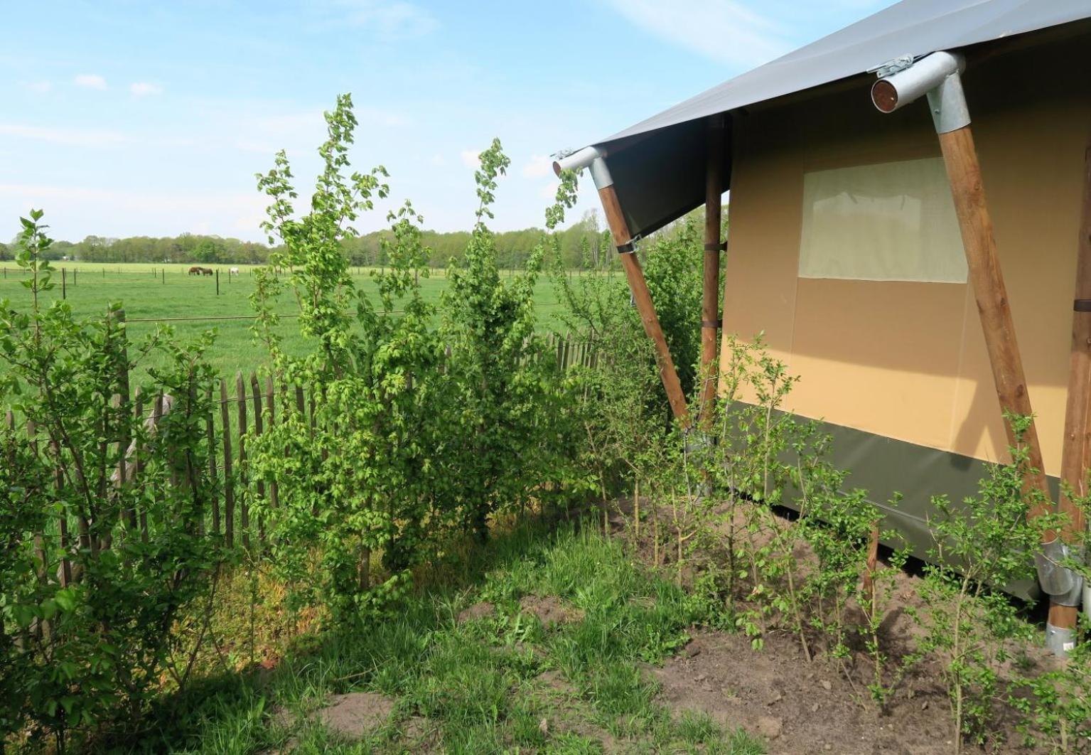 Luxe Safaritenten Petit013 - Nieuw Tilburg Cameră foto